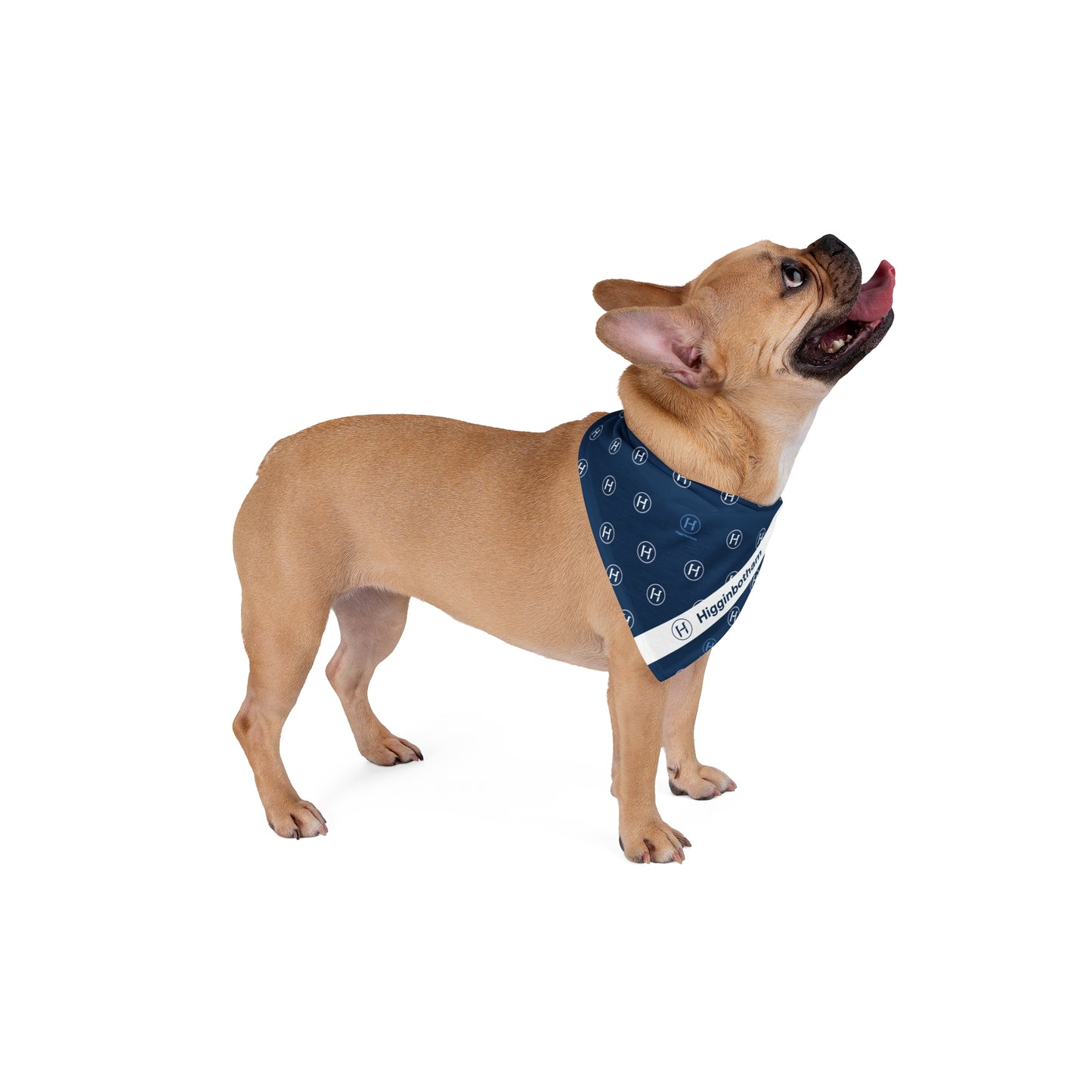 Navy Monogram H Pet Bandana — Reversible Triangle Collar Scarf for Dogs & Cats